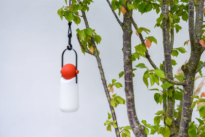 Guidelight & Hook Set